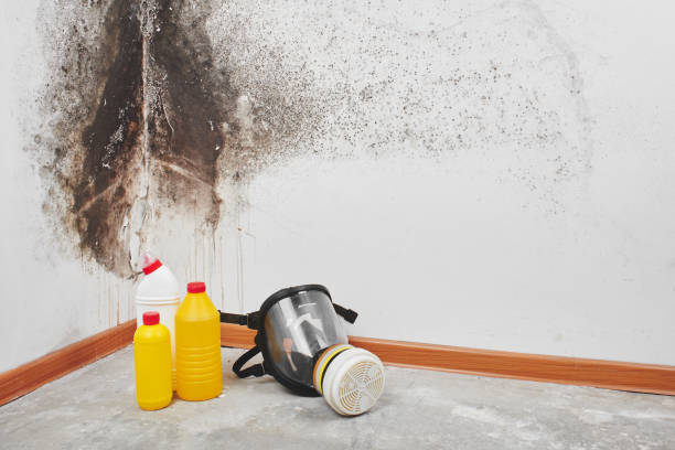 Best Mold Testing  in Mukwonago, WI